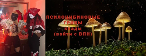 герыч Алзамай