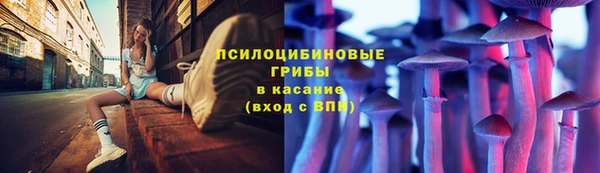 стаф Алексеевка