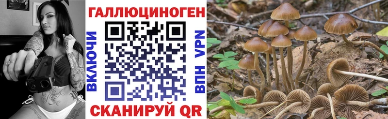 Псилоцибиновые грибы GOLDEN TEACHER  Бобров 